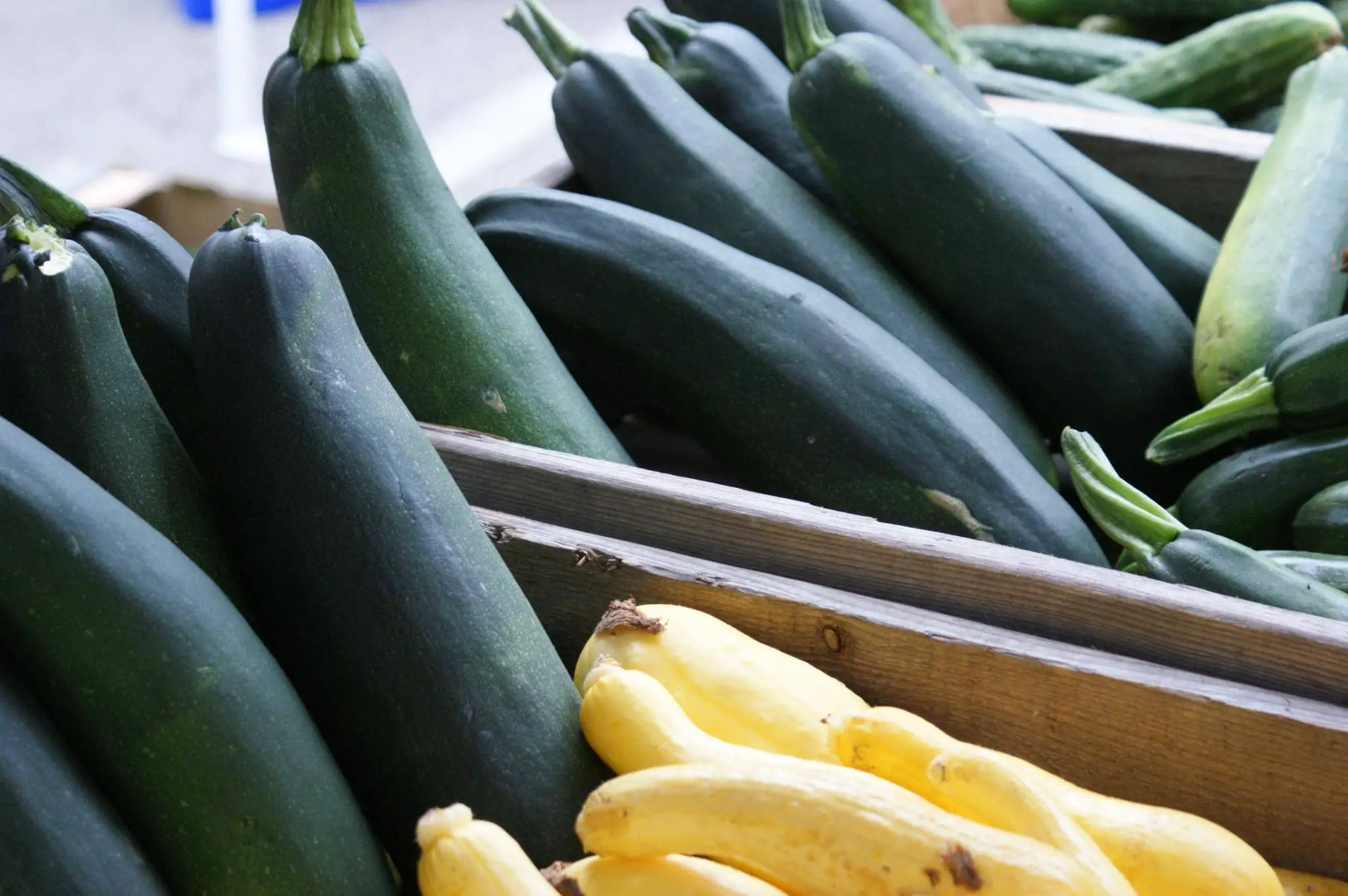 courgettes at the farmers market by gemmamei