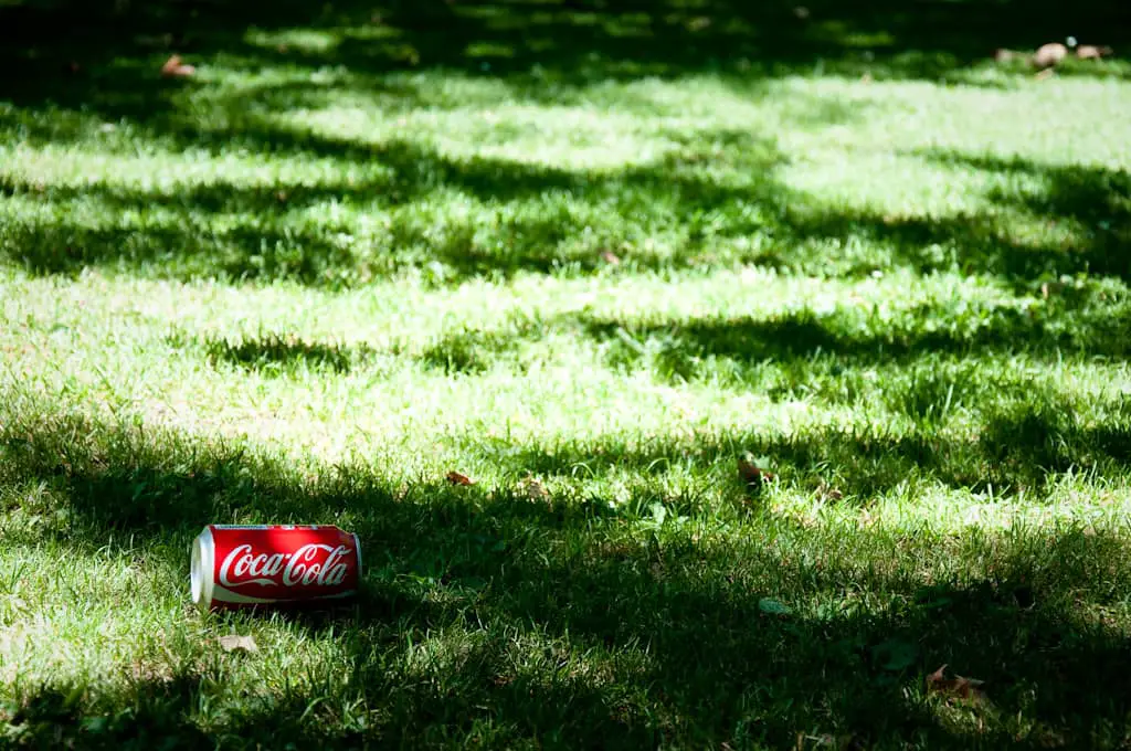 A discarded coke can on the grass with sun rays coming through the trees