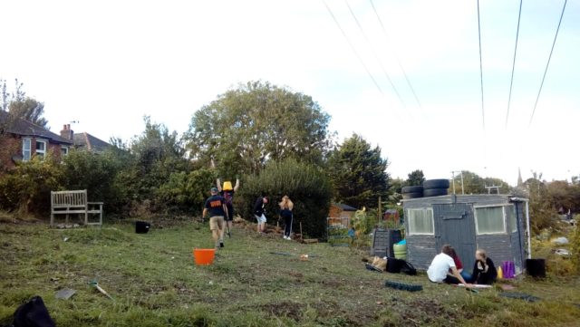 Clearing the allotment