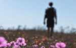 person walking away in a field with wildflowers in the foreground