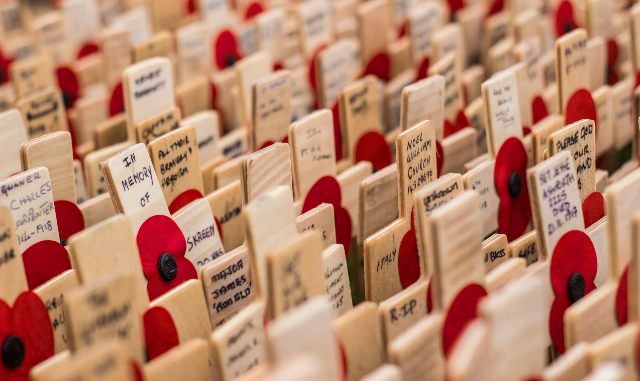 remembrance crosses and poppies