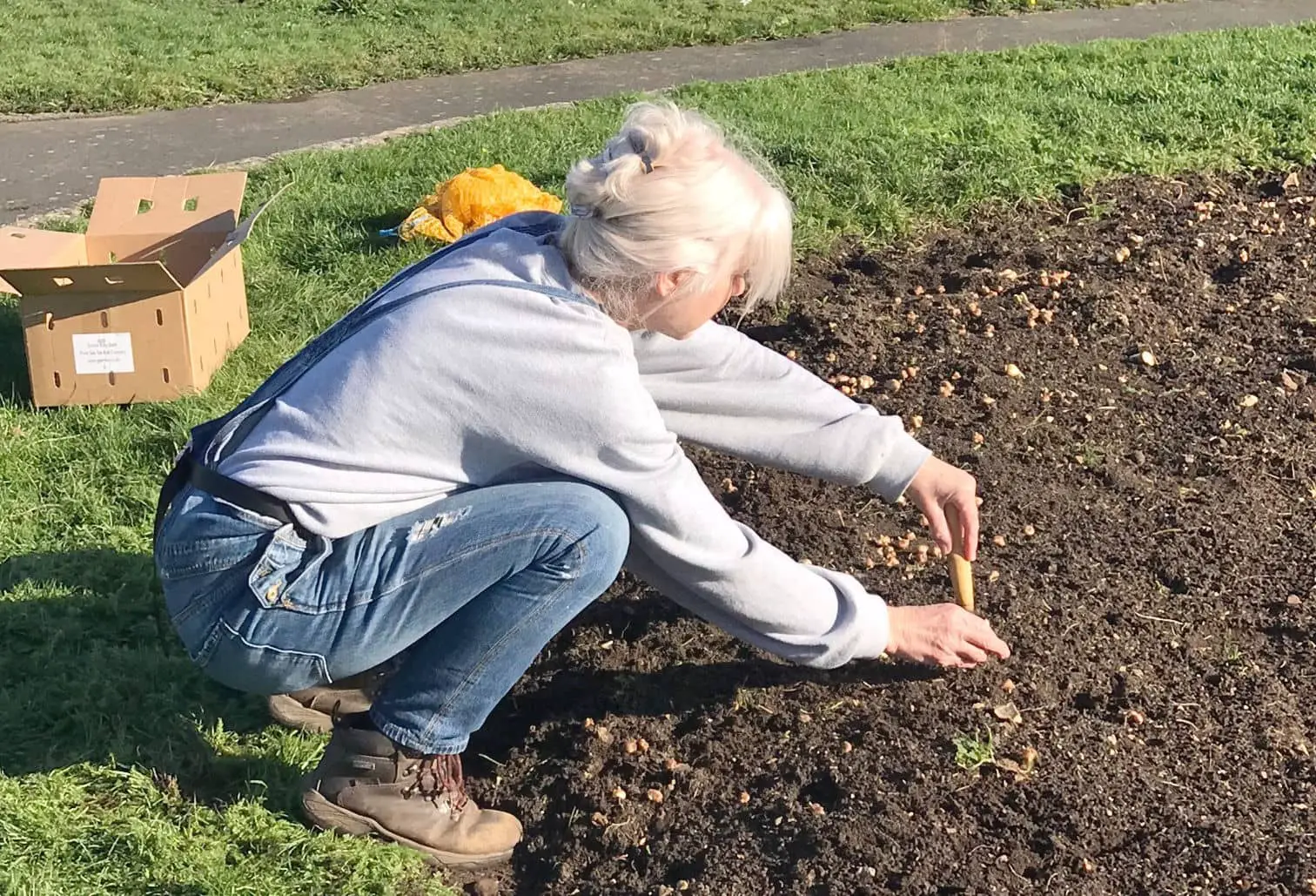 Nicola Winsland of Friends of Battery Gardens, planting up the circular bed at Battery Gardens