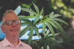 Julian Harris and Cannabis plant - Site