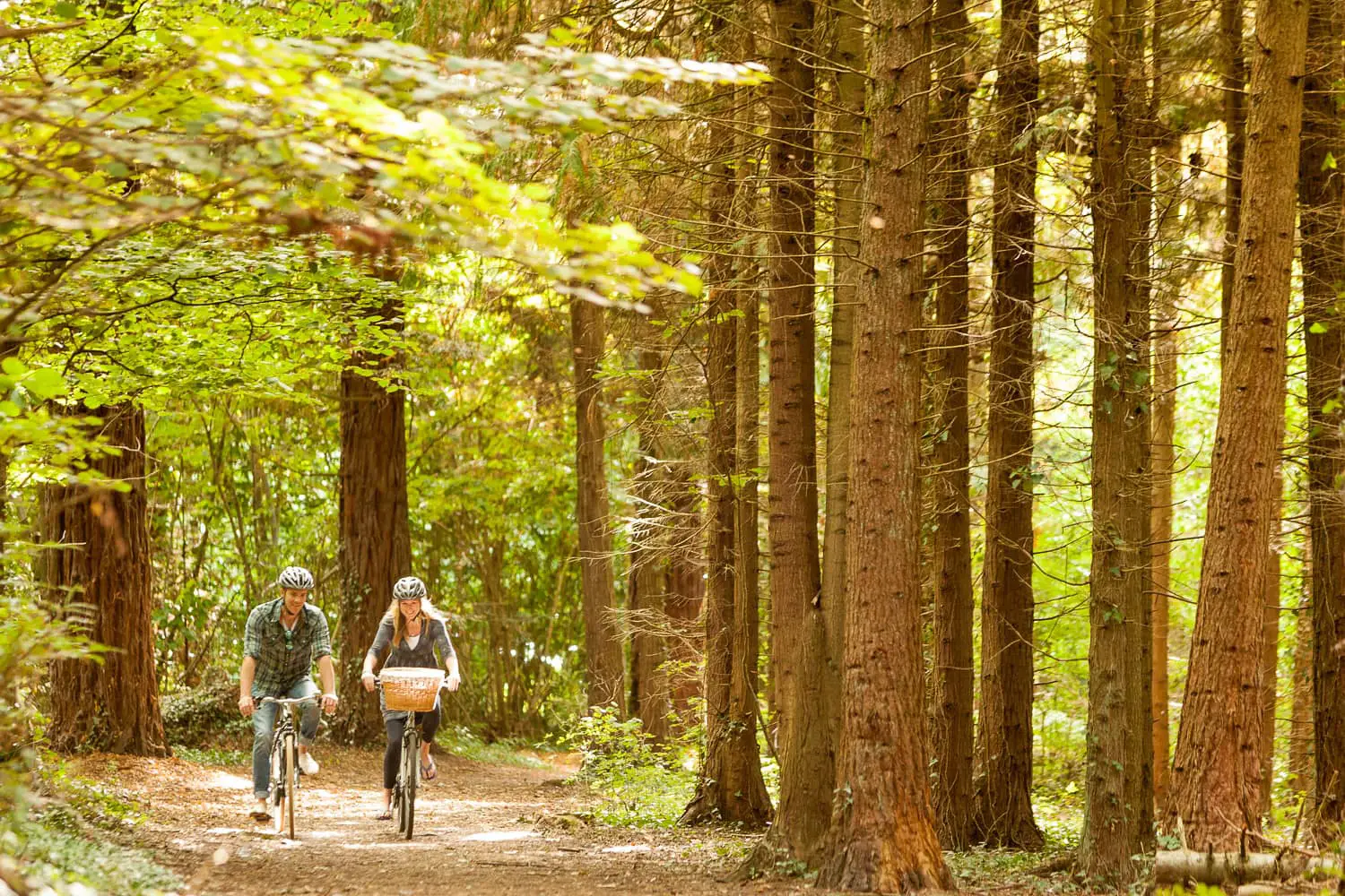 man and woman cycling through the woods
