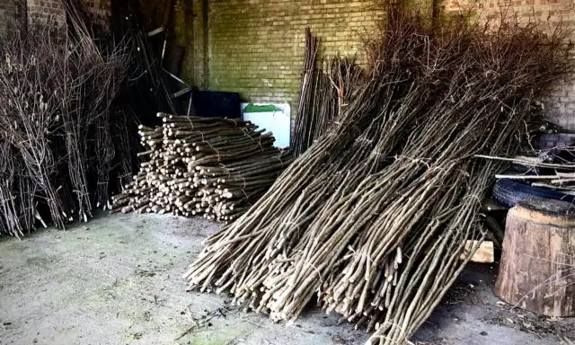 Martin's Wood - Coppiced Material, stakes, binders, pea sticks, bean poles, fire wood by John Jewett