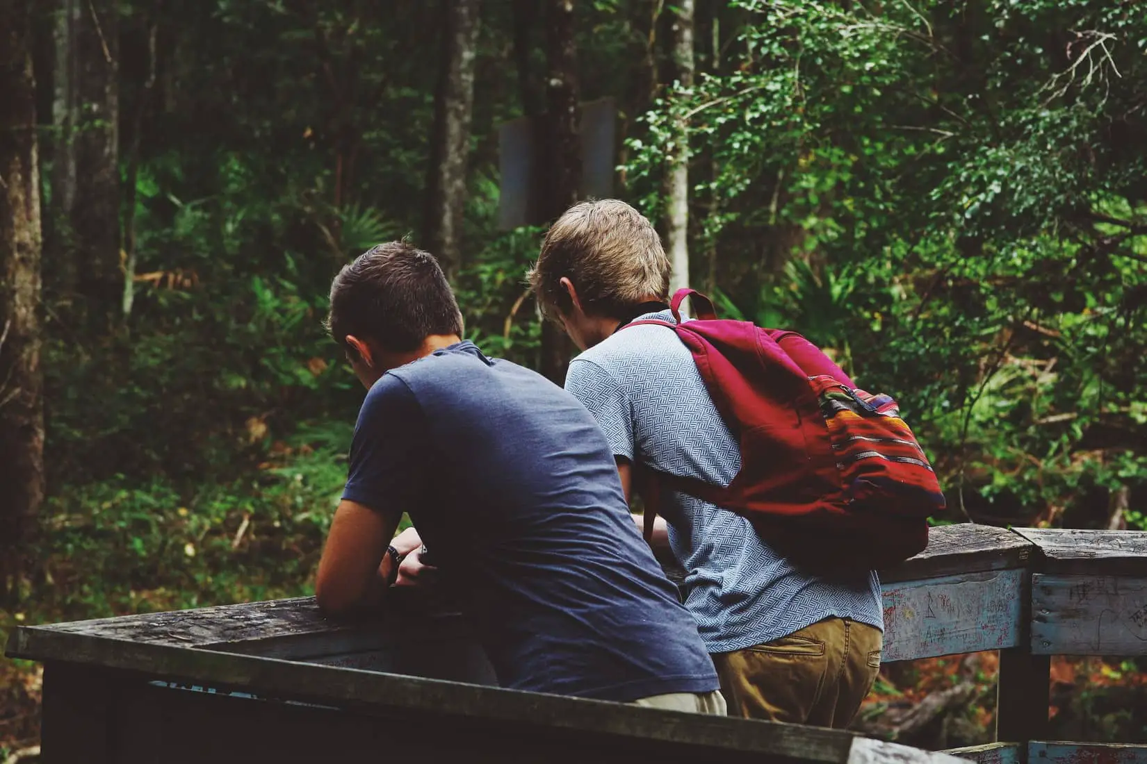 Two teenage boys in woods