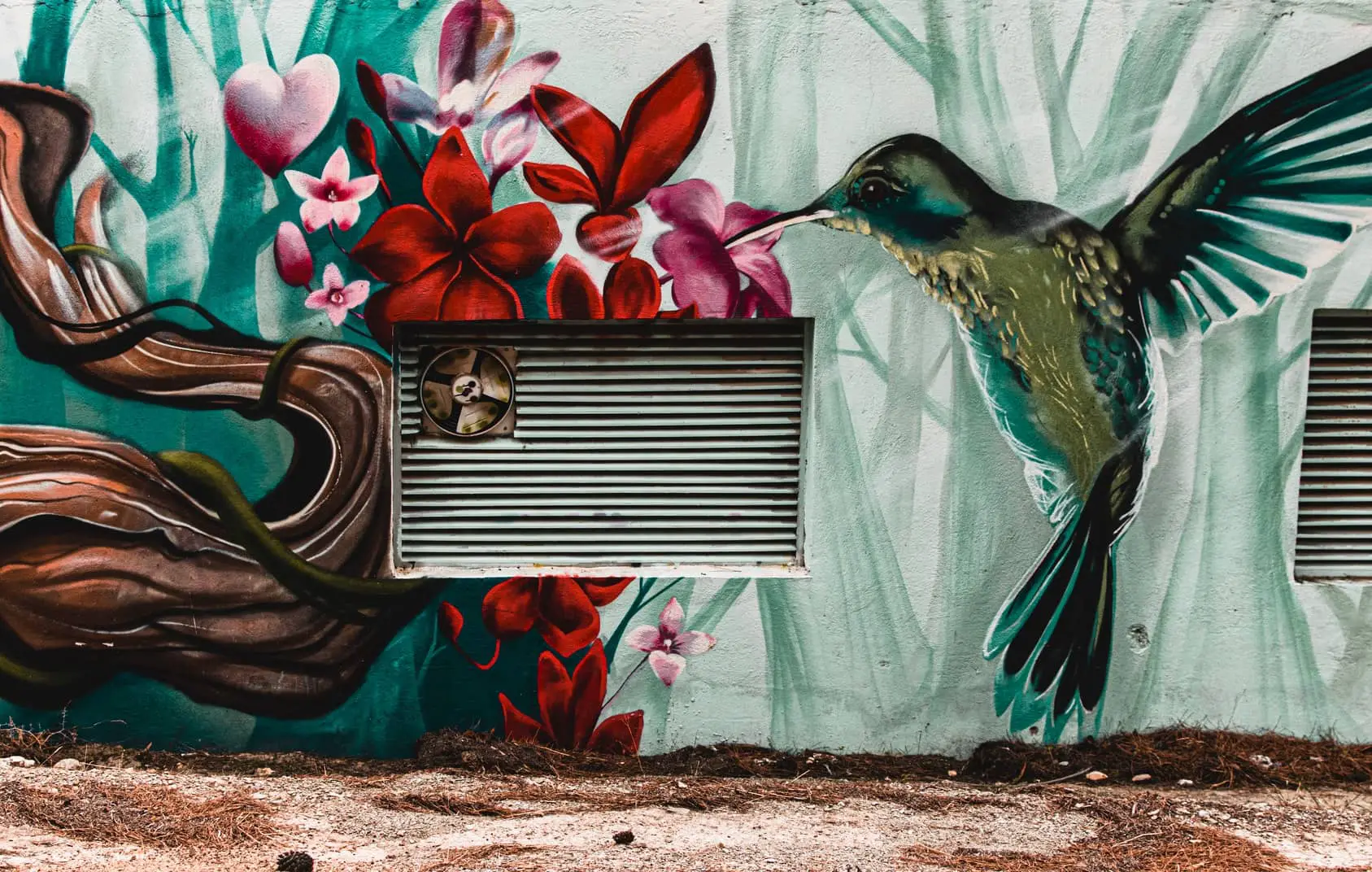 graffiti of humming bird