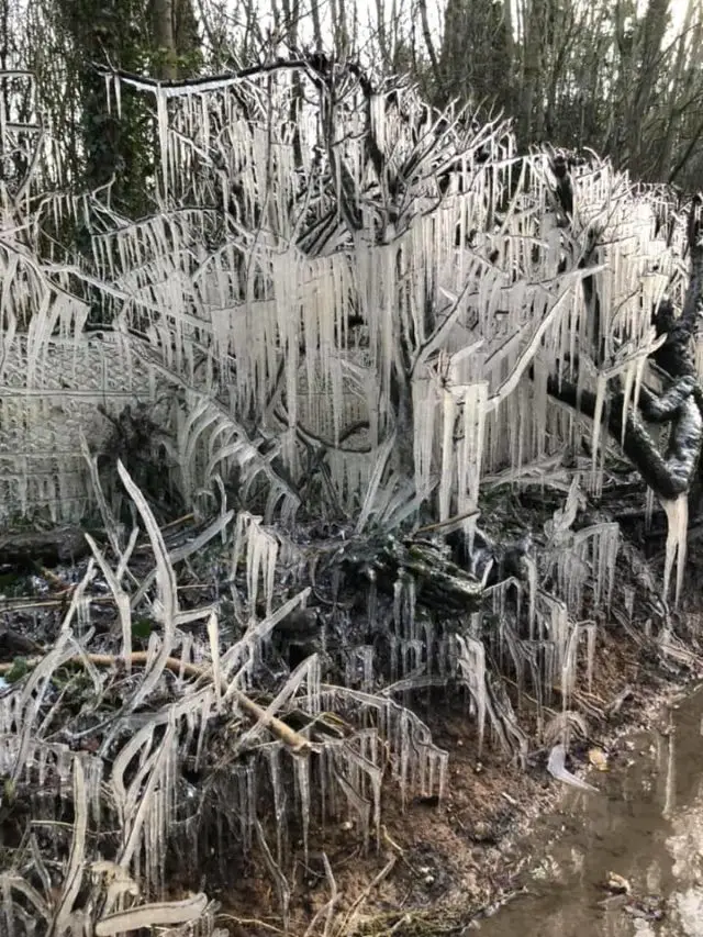 Icicles in Brook, February 2021 by Melia Blair-Blackwood