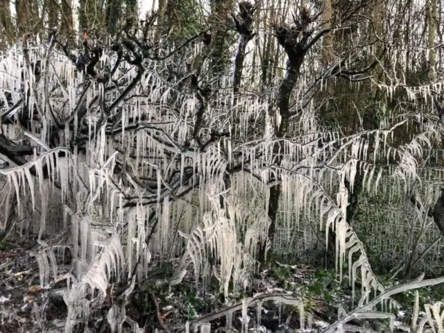 Icicles in Brook, February 2021 by Melia Blair-Blackwood