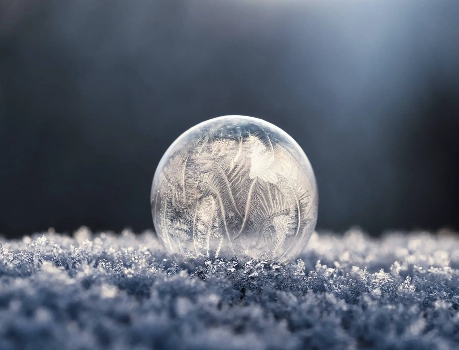 snow and frozen glass ball