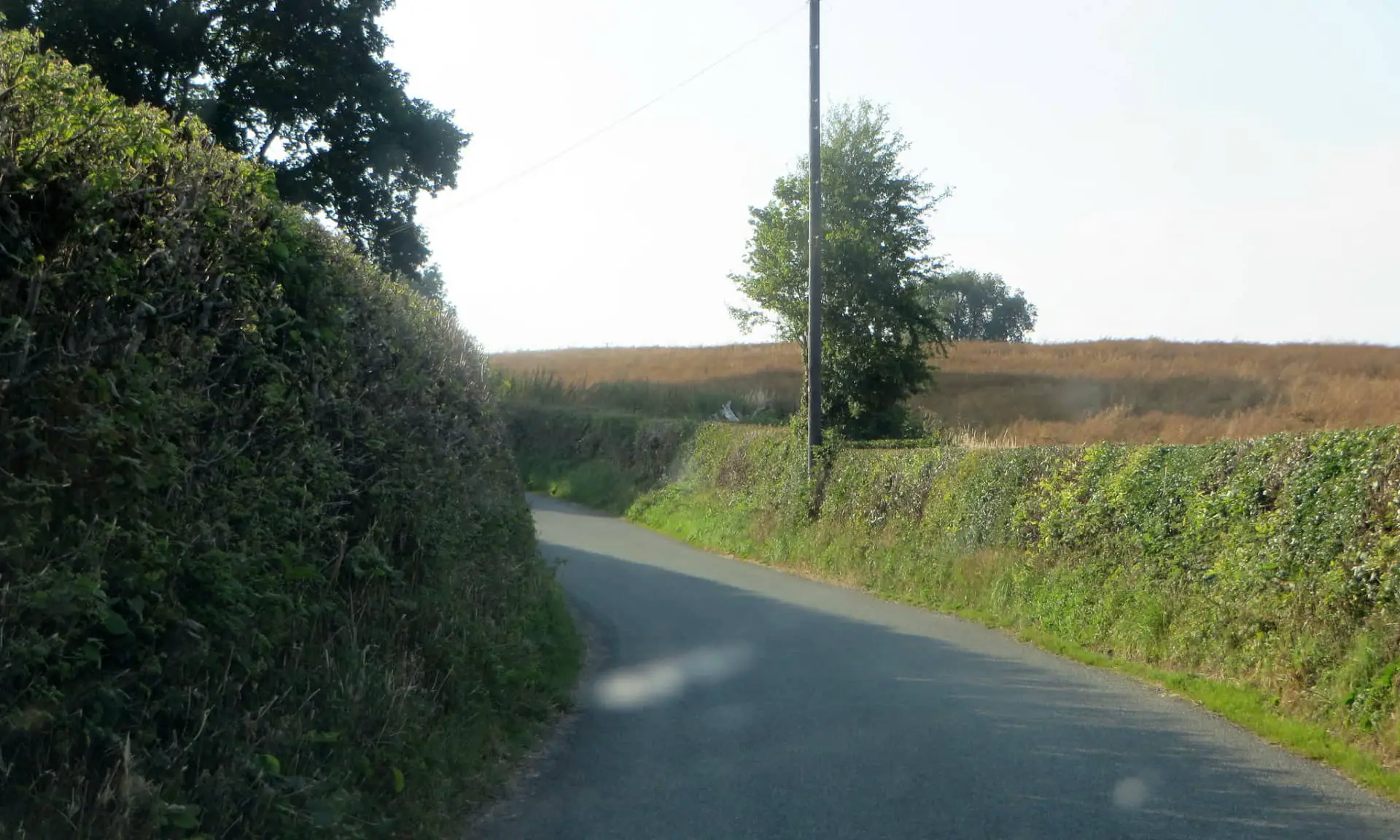 Hedgerows and road