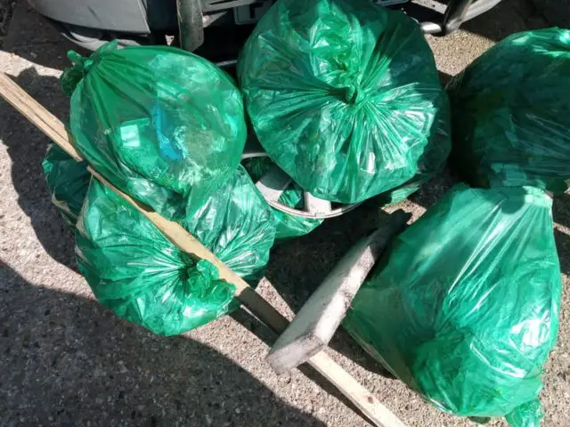 Some of the bags of rubbish