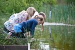 Pond dipping by Matthew Roberts