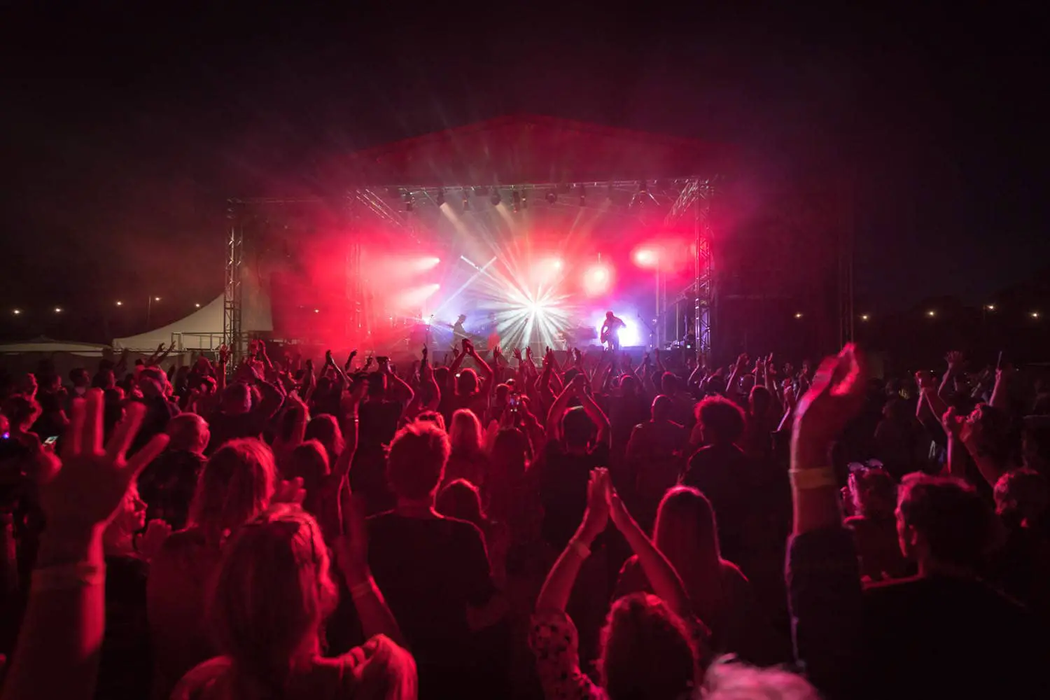 RhythmTree Festival - main stage at night with audience