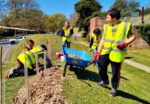 1st East Cowes scouts planting trees at Puckpool