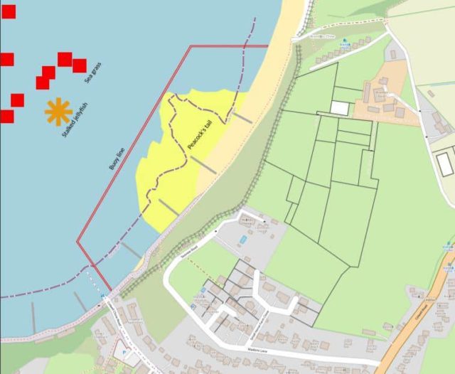 Plans showing where the Colwell Bay beach buoys will be placed