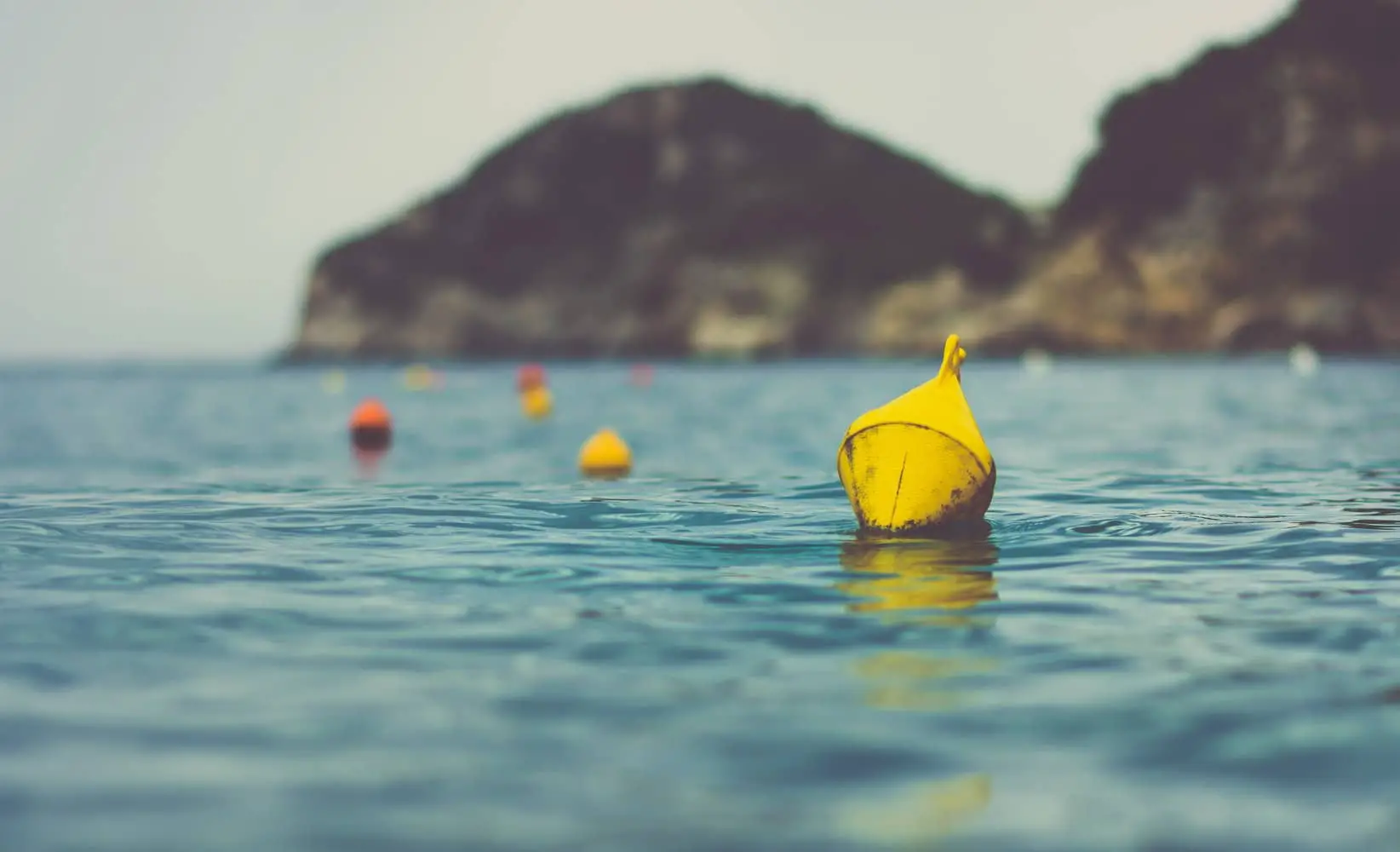 Beach buoys in the sea