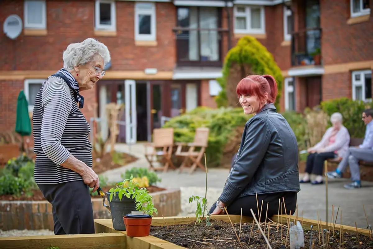 Older woman planting tomatoes with younger person watching