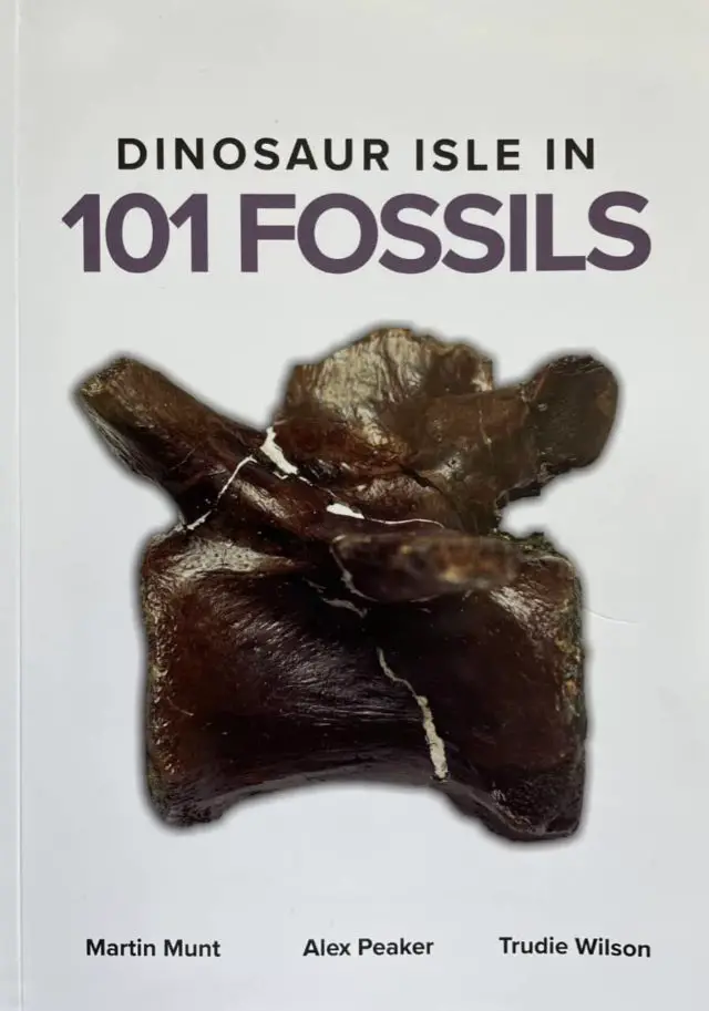 Dinosaur Isle fossils book cover