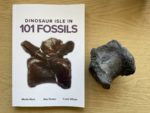 Fossil Book and fossil on a table
