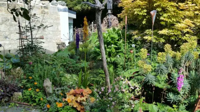 Rock Villa - Beautiful Bonchurch Garden