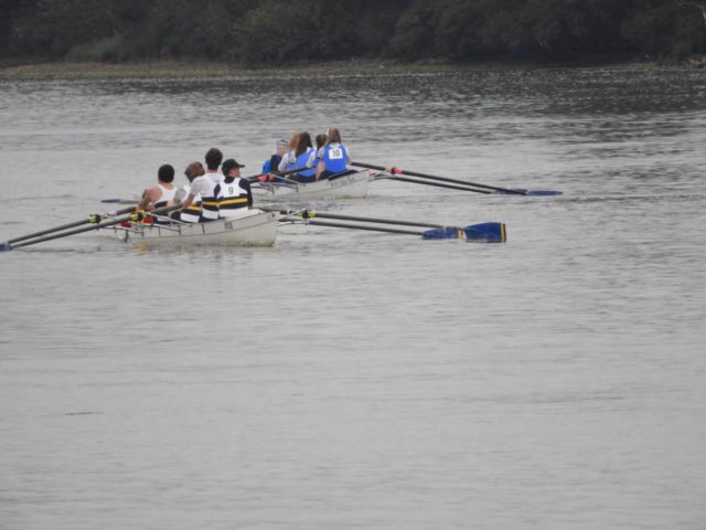 Shanklin Ladies Junior Four (in Blue) chasing down Ryde Mens Four