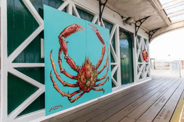 Spider crab painting by ATM
