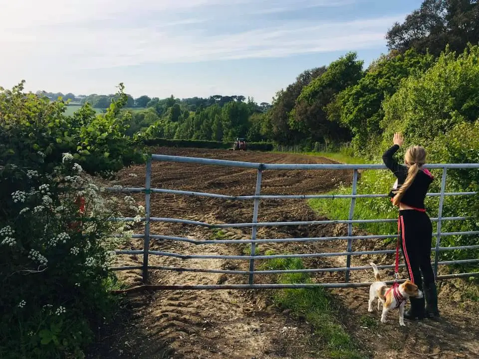 Westridge Farm - girl and dog by gate watching tractor in field - from Save Westridge Farm Facebook Page