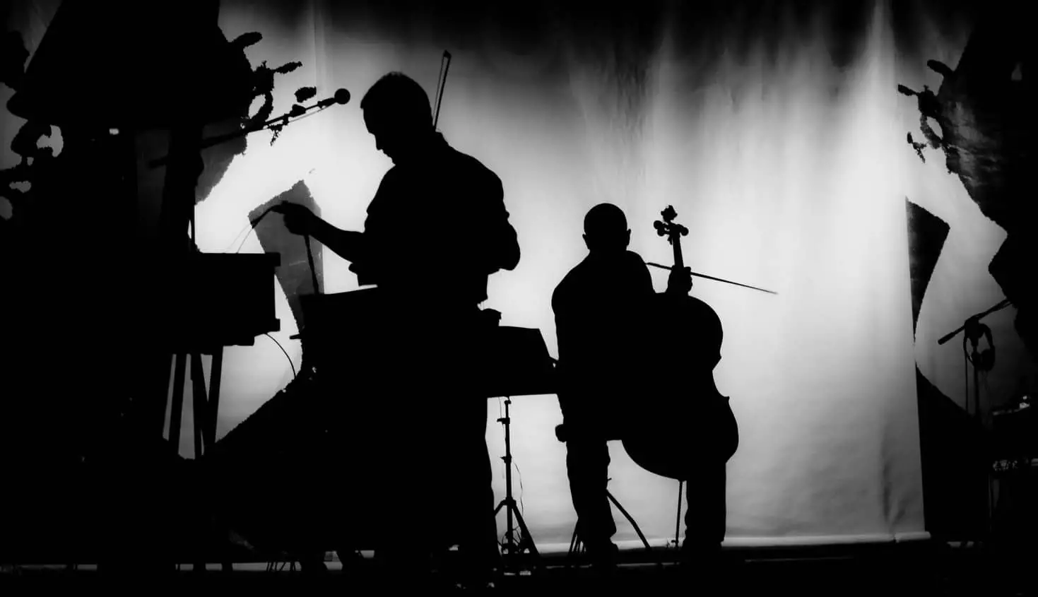 Silhouette of orchestra