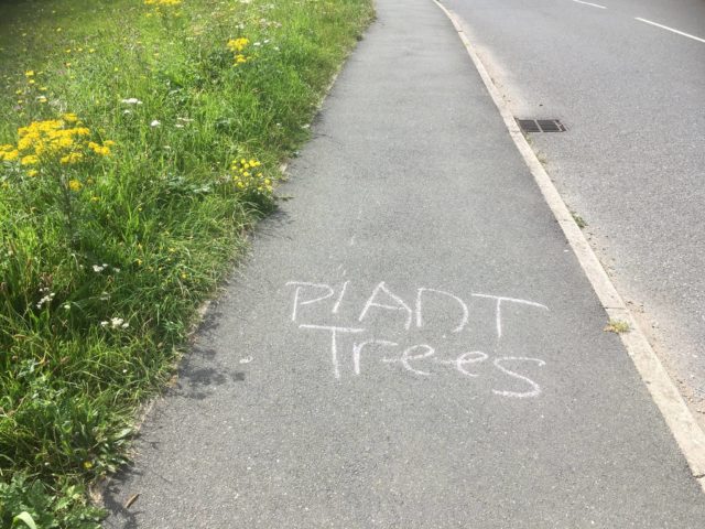 Positive messages on pavement photographed by Angela Freebrey