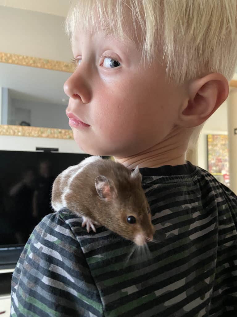 Isle of Wight's animal friends and the bond they share