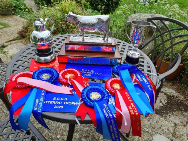 Trophies and rosettes