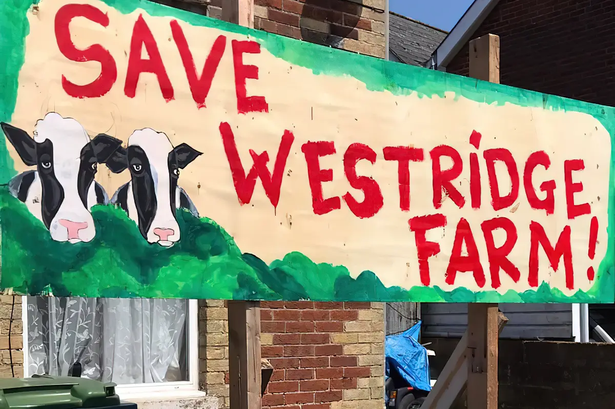 Save westridge farm painted sign with cows