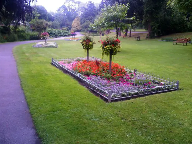 Flowerbeds in Ventnor Park