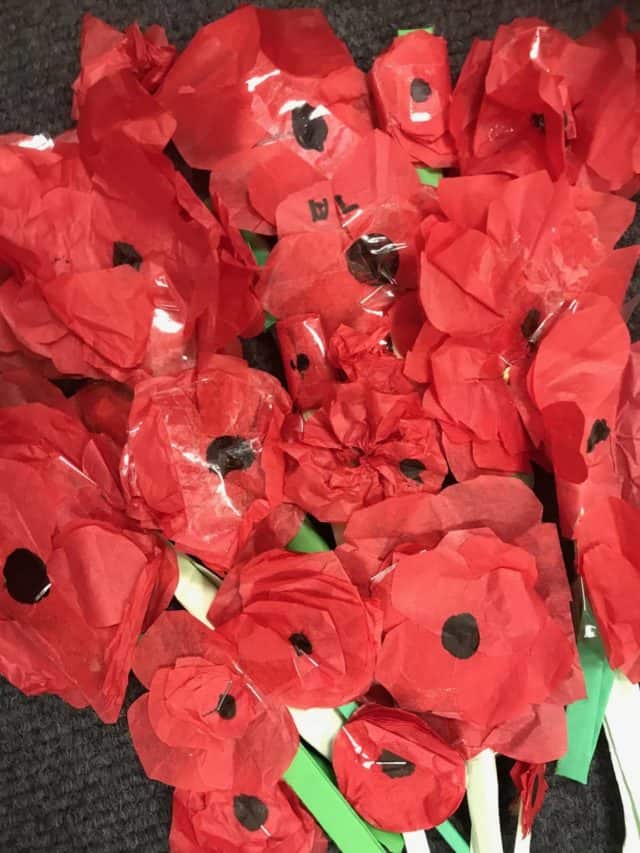 Tissue poppy display