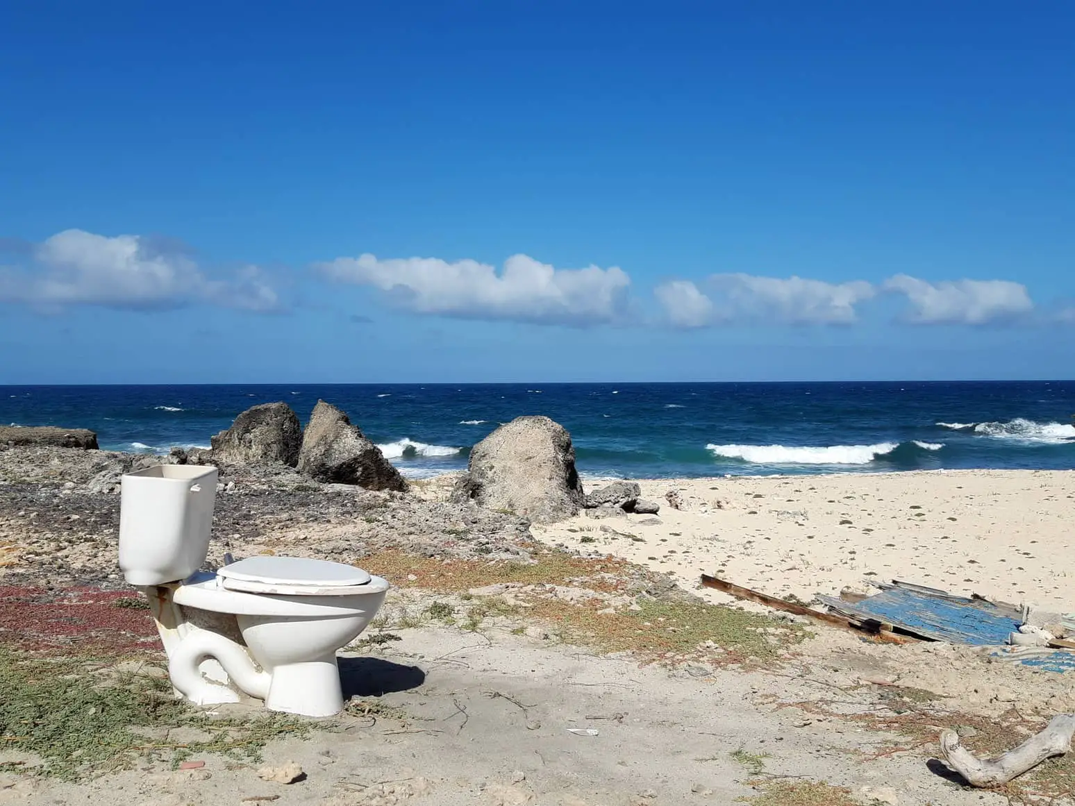 Toilet by the sea
