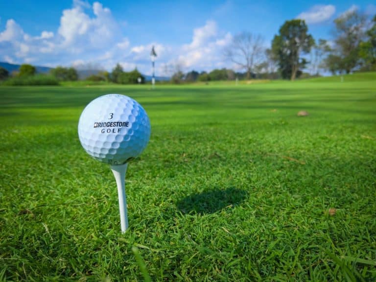 Westridge Golf Centre New Plans For Further Upgrades To The Course