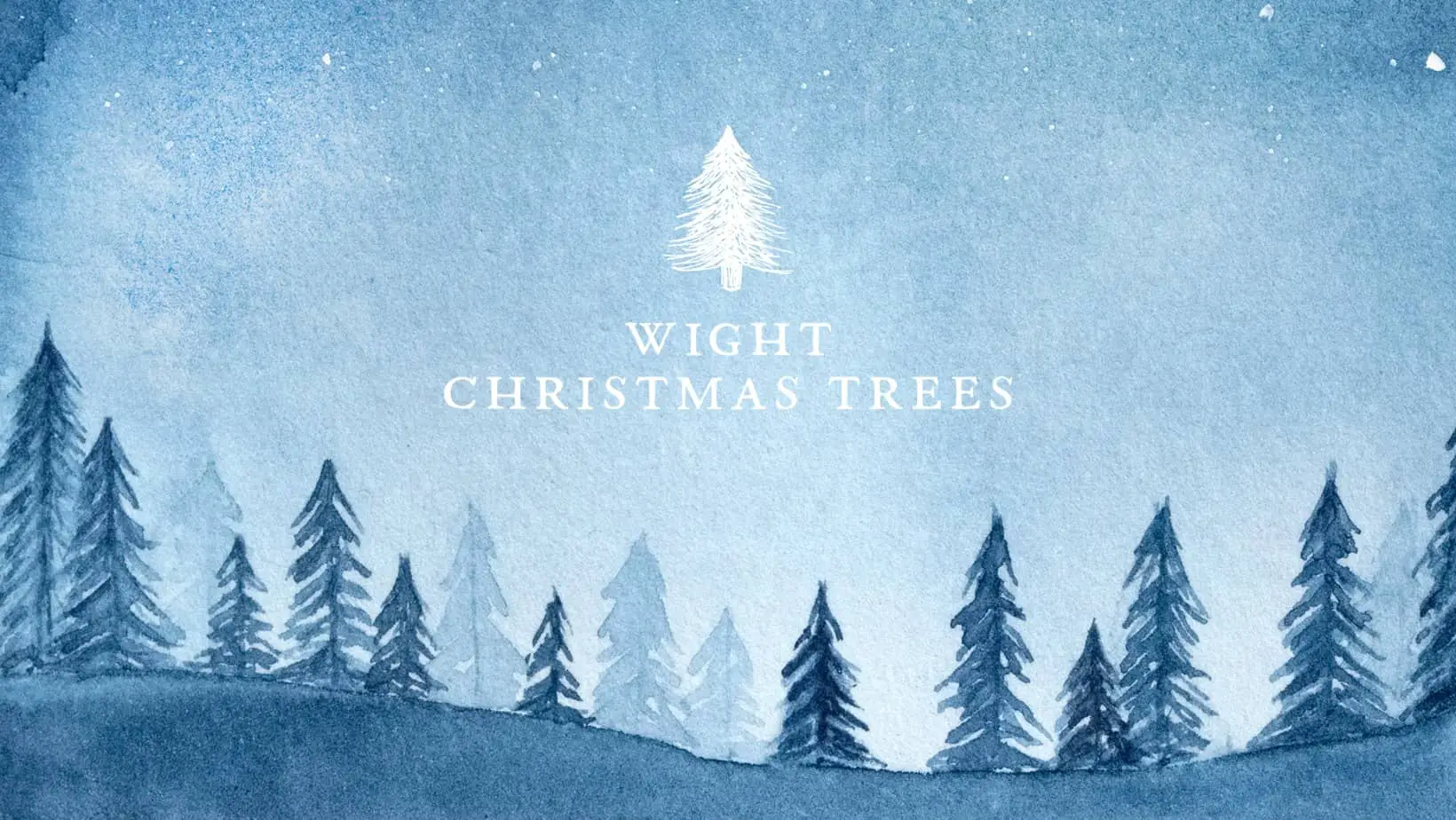 Wight Christmas Trees illustration