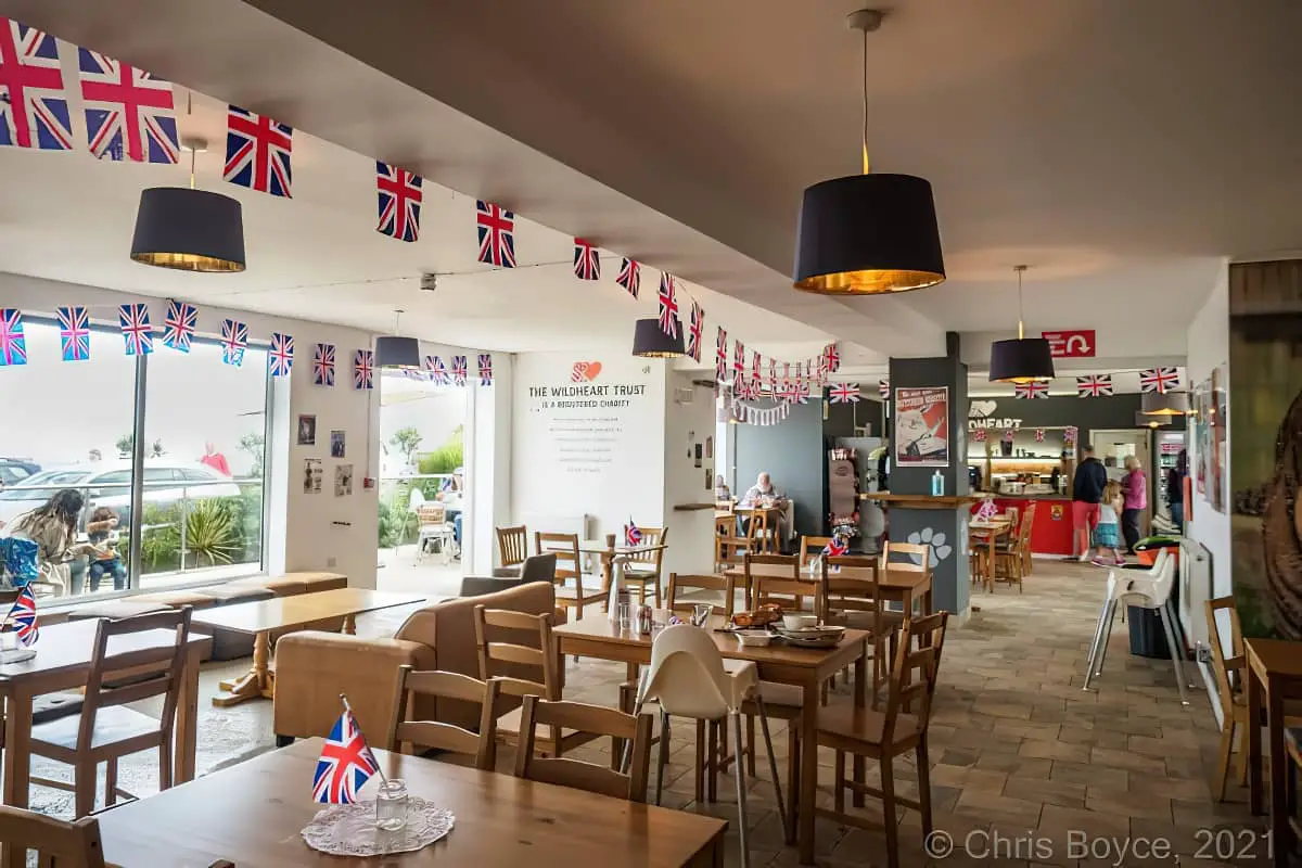 Wildheart Cafe with flags up for Isle of Wight Day by Chris Boyce