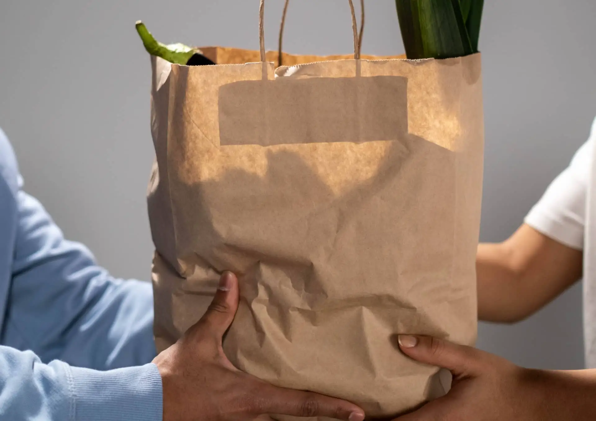 Person handing over bag of produce to another