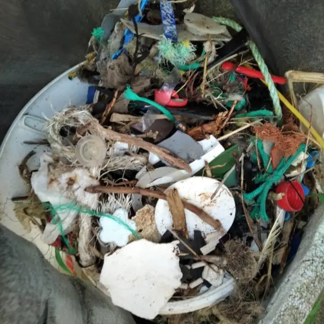 Plastic collected on beach clean