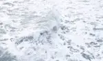 waves in the sea