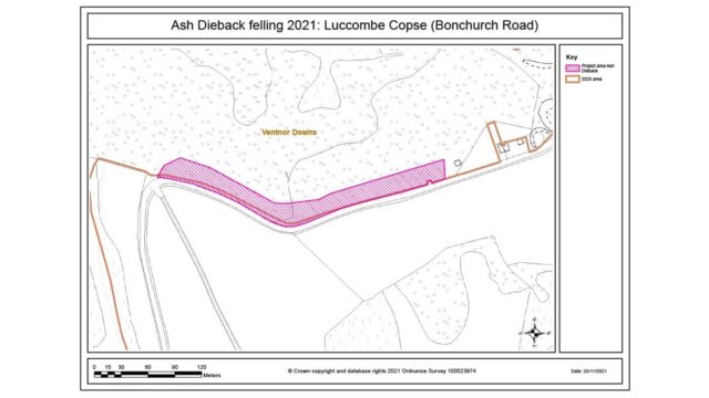 Bonchurch Road Map