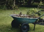 garden waste in a wheelbarrow