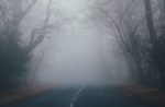 road through wooded area with lots of fog
