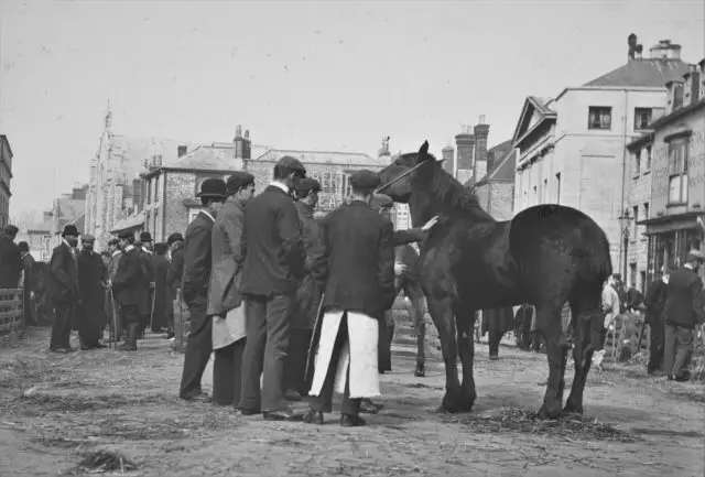 Horse being sold in market, St James Square, Newport Circa. 1900