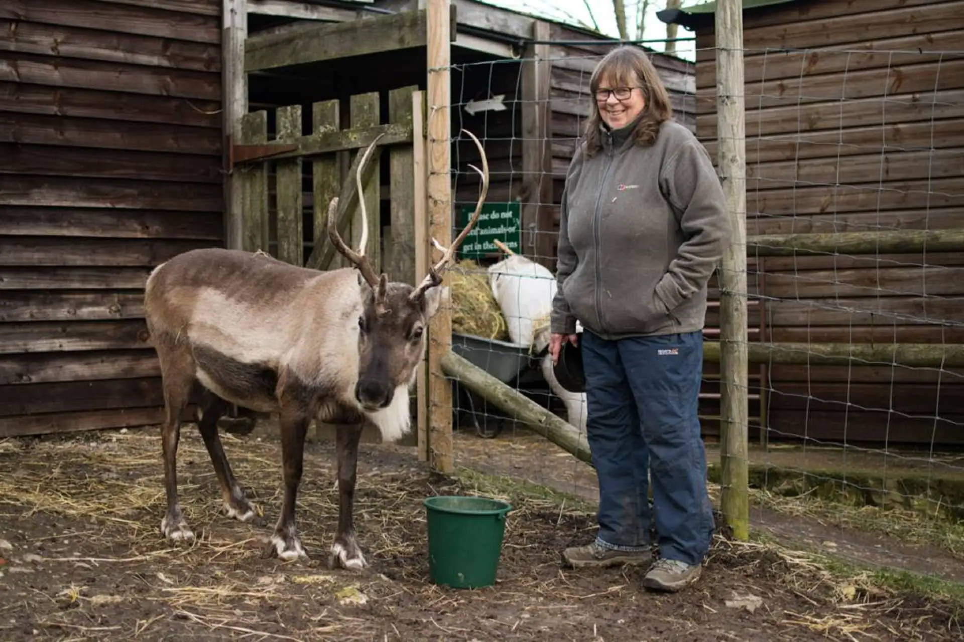 Josie Morris with a deer on the farm