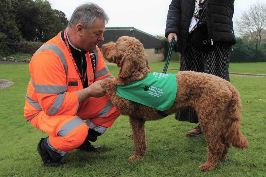 what training does a dog need to be a therapy dog