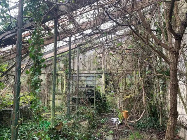 A greenhouse in the courtyard of the farm buildings on the Norris Castle estate