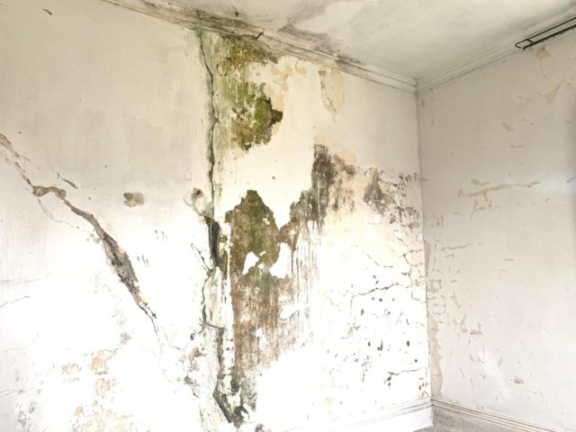 Cracks, damp and mould inside a room at Norris Castle